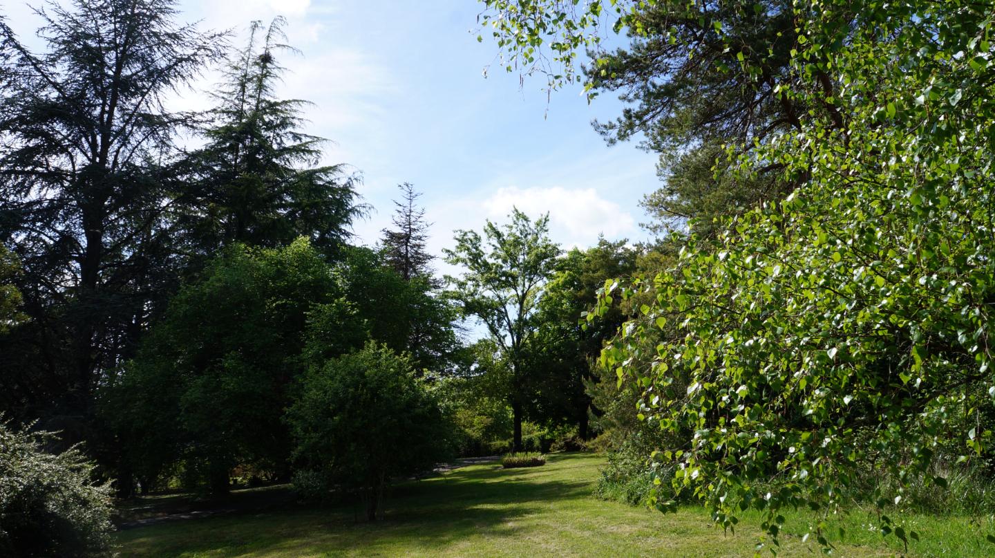  Loir-et-Cher Haut-de-gamme