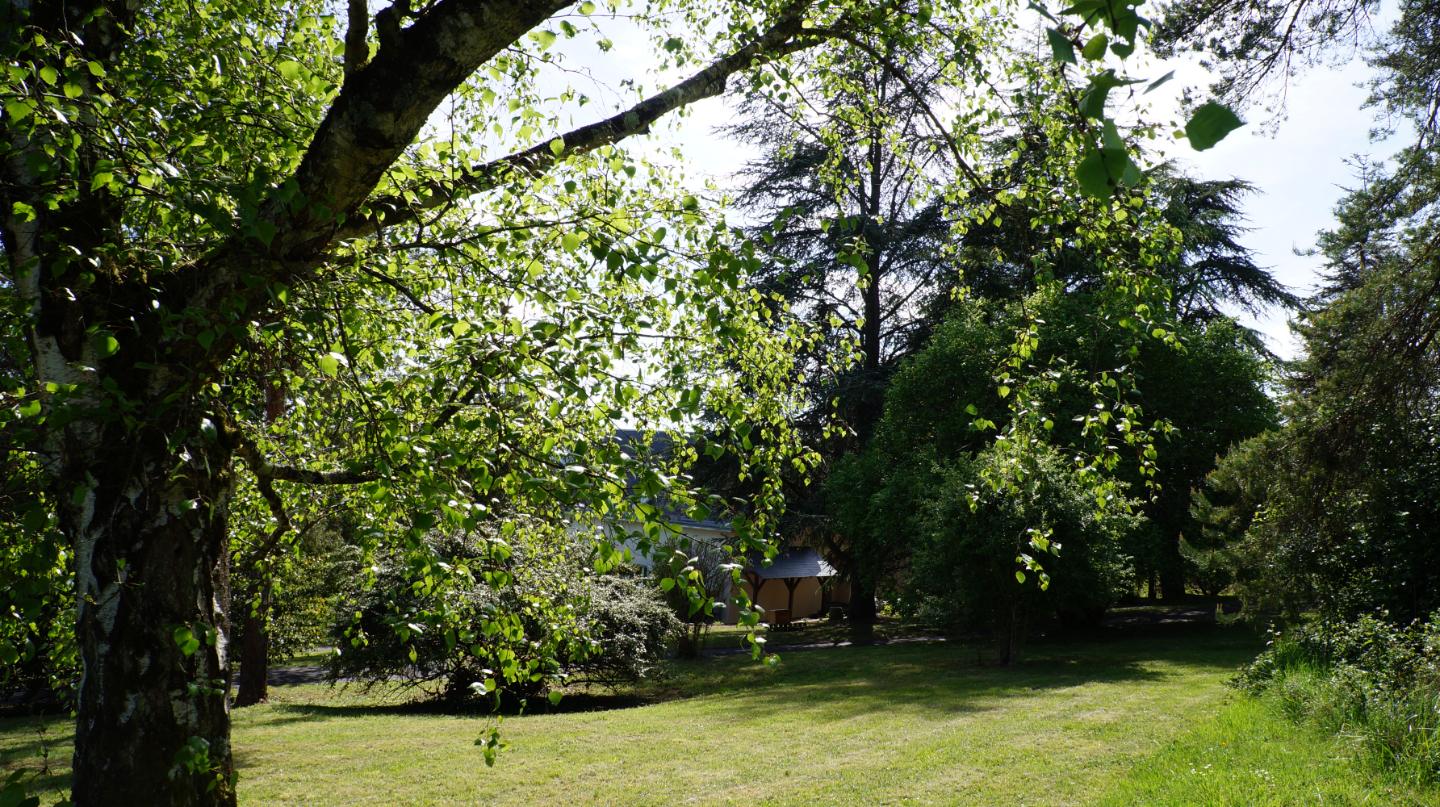 Morphoses, Maison d'hôtes et d'inspirations créatrices