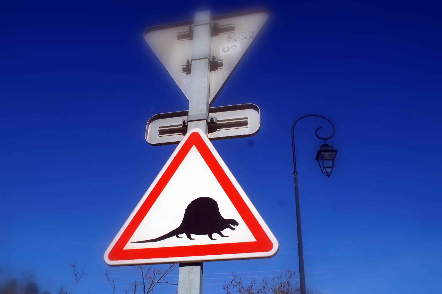 Carte cadeau GreenGo