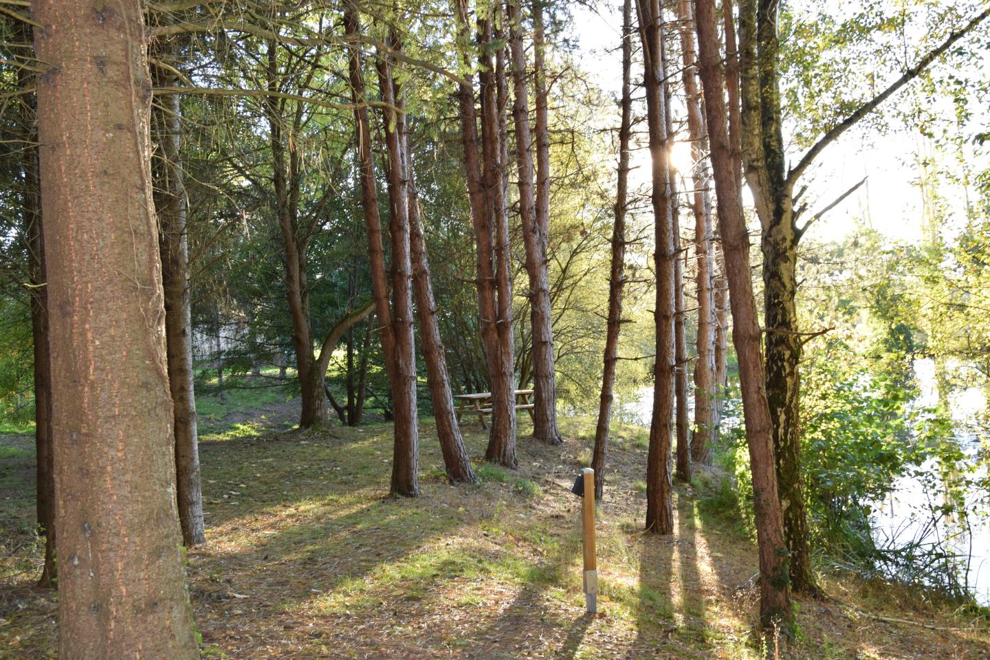 Carte cadeau GreenGo