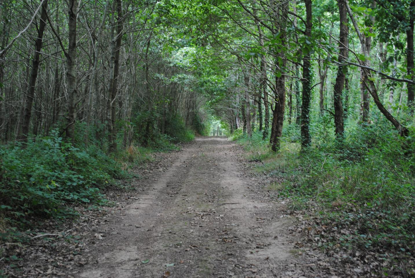 GreenGo Gîte Pays de la Loire À la campagne