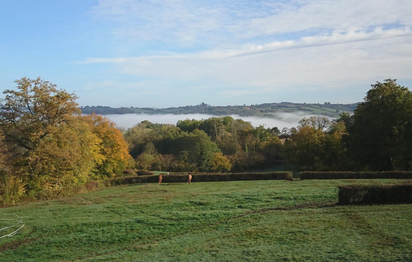 GreenGo location vacances écoresponsables