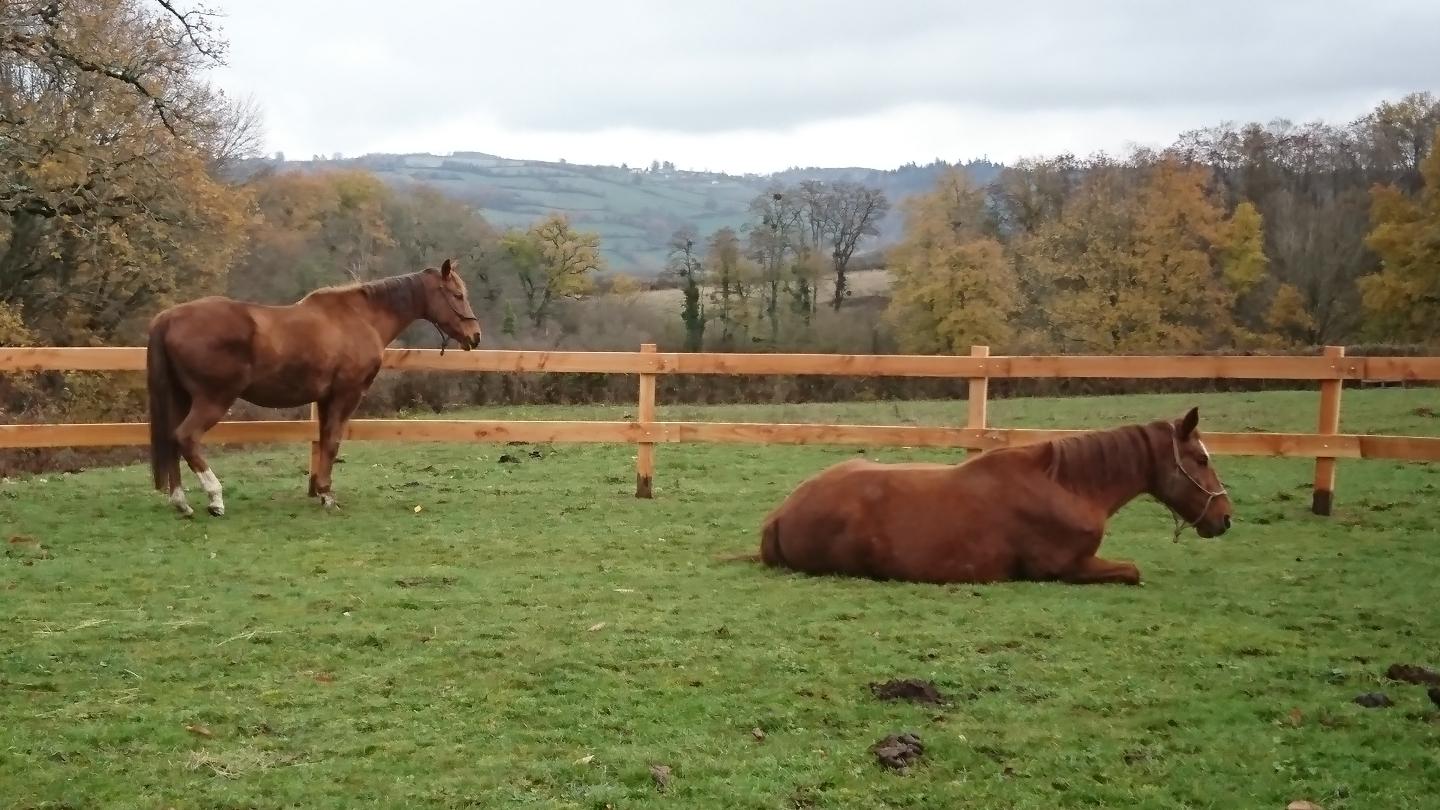  Nièvre À la campagne