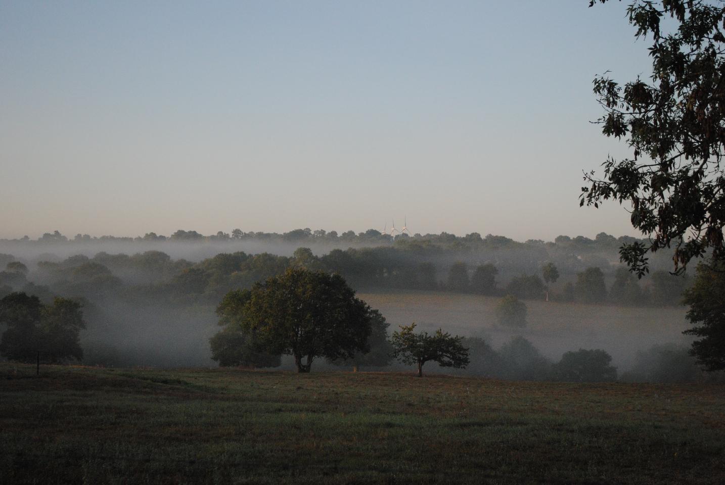 Maine-et-Loire Bien-être