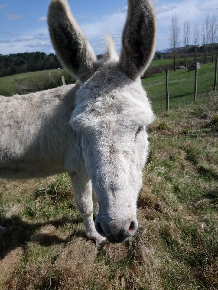 GreenGo Chambre d’hôtes Nouvelle-Aquitaine À la campagne