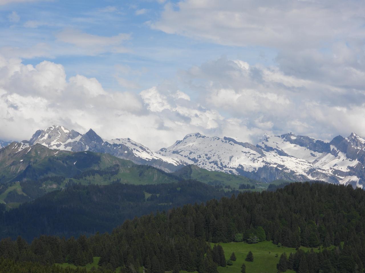 Hôte GreenGo: Auberge du lys blanc