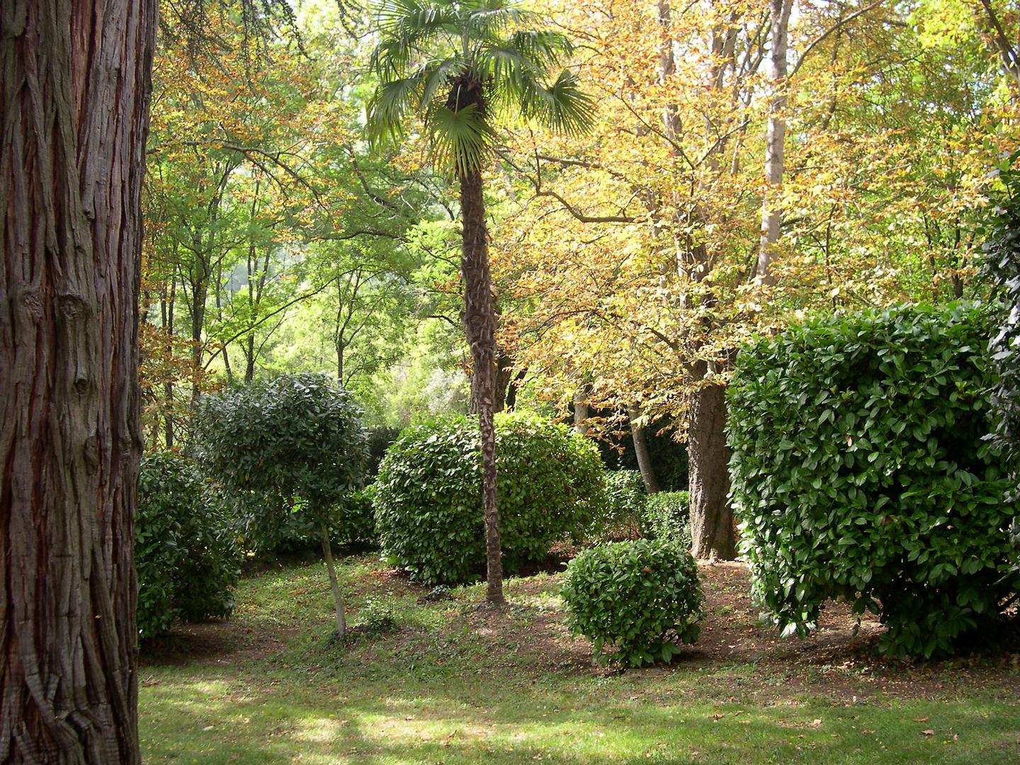 Carte cadeau GreenGo