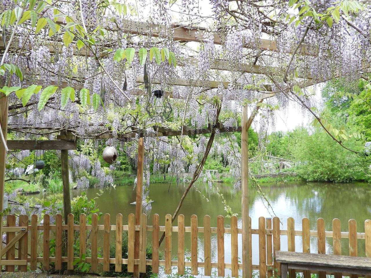 Carte cadeau GreenGo