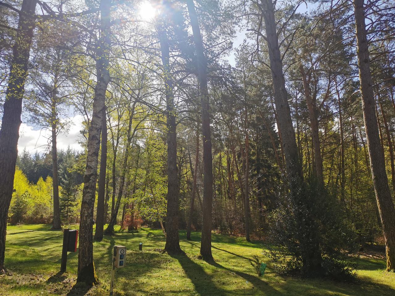 Hôte GreenGo: Camping les Sapins de Corrèze - Image 8