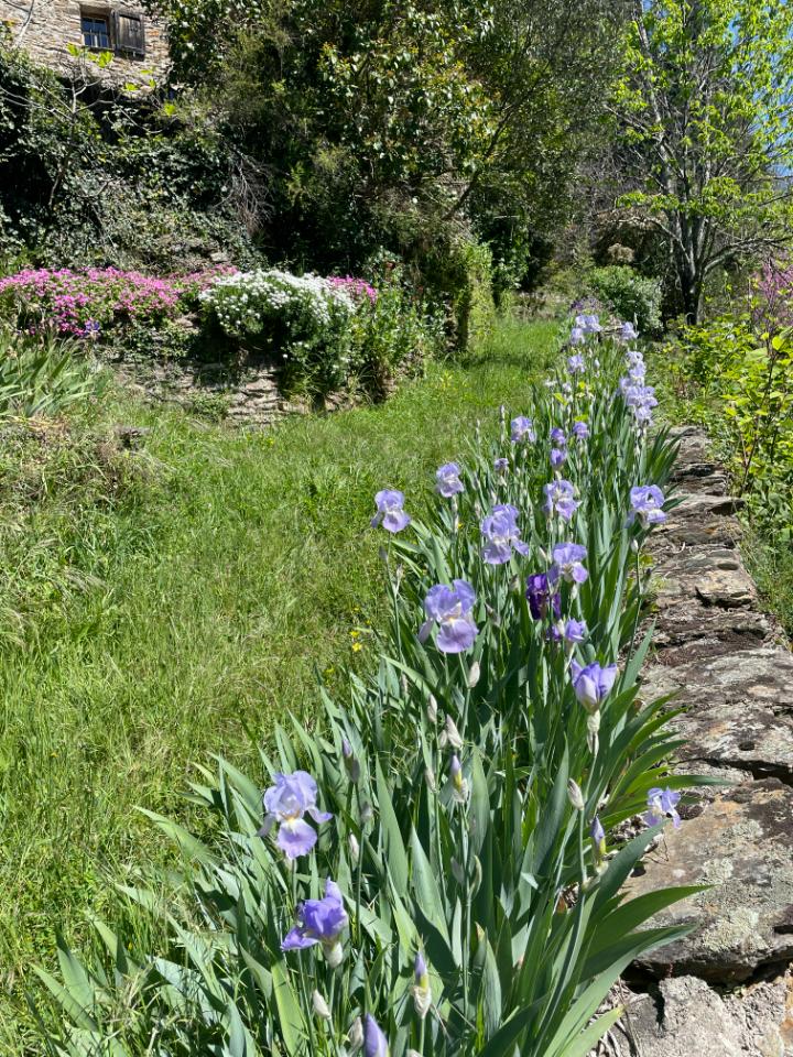 Carte cadeau GreenGo