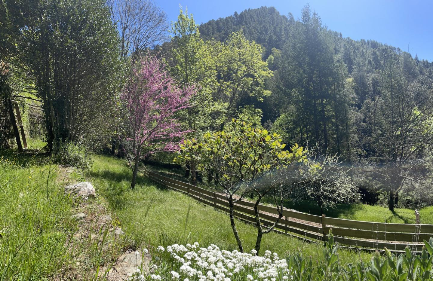 Camping Lozère Glamping