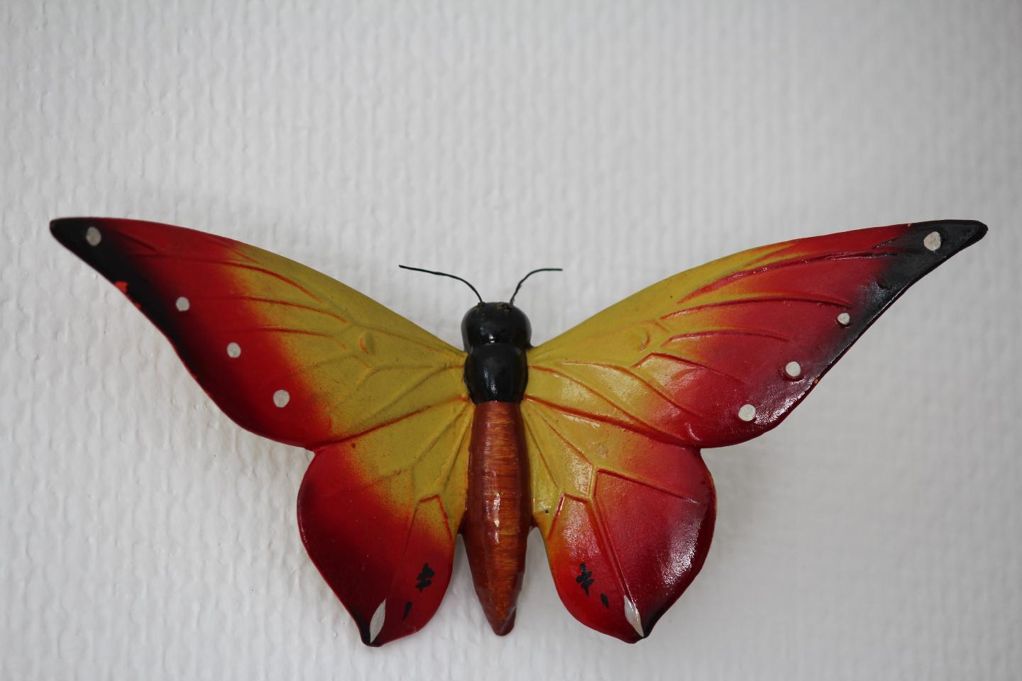 Hôte GreenGo: Les Papillons - Image 14
