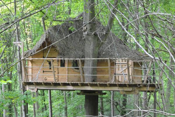 Hôte GreenGo: Les cabanes dans les arbres de Fontaine-Châtel - Image 4