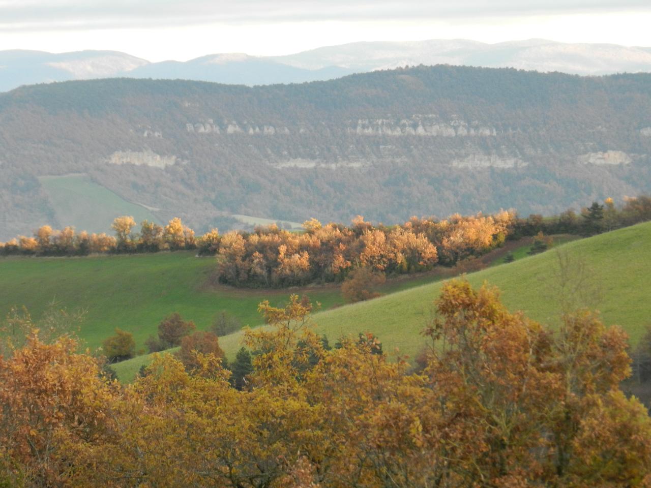 Hôte GreenGo: Le Foussat - Image 6