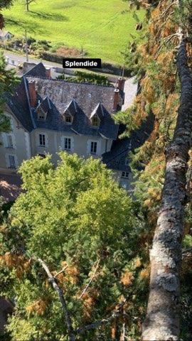 Hôte GreenGo: Château d'Arfeuilles Piscine Bain nordique - Image 7