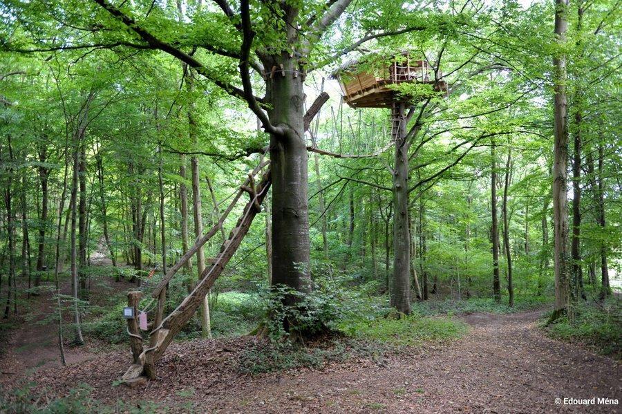 Hôte GreenGo: Les cabanes dans les arbres de Fontaine-Châtel - Image 6