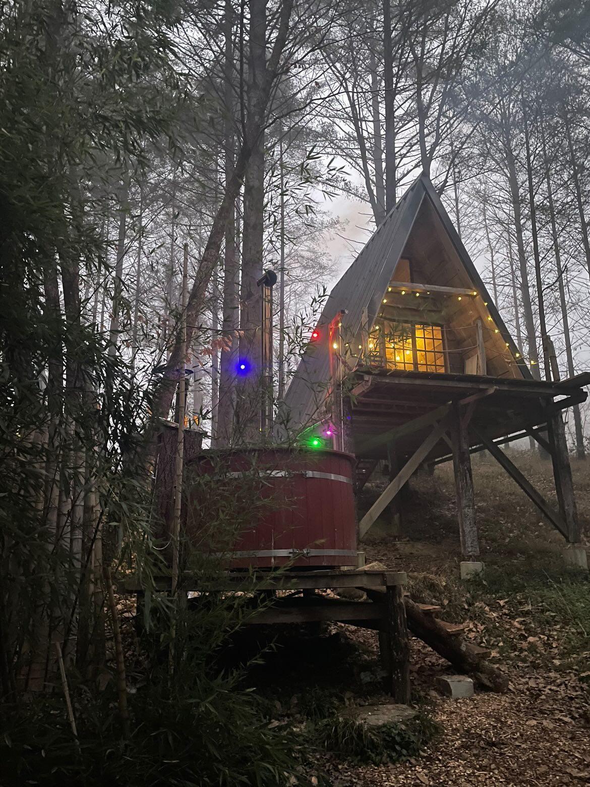 Hôte GreenGo: Cabane en forêt à Salies de Bearn - Image 8