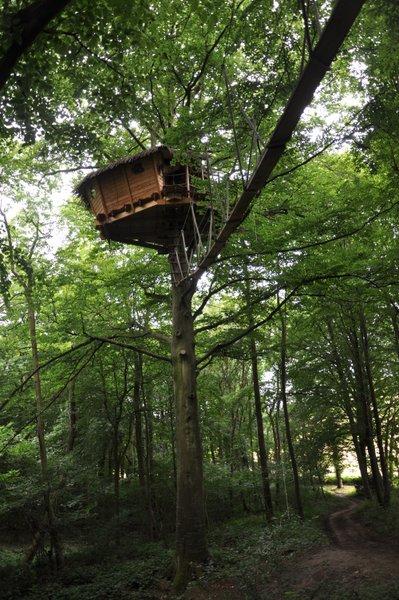 Hôte GreenGo: Les cabanes dans les arbres de Fontaine-Châtel - Image 9