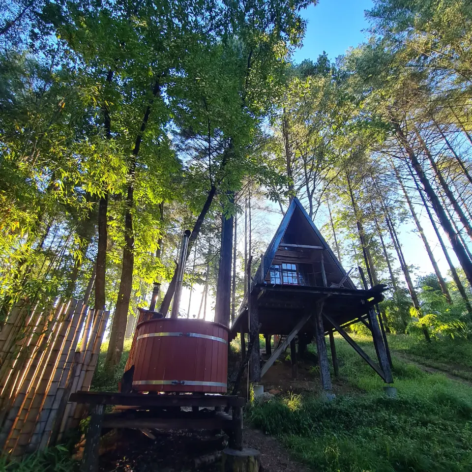 Hôte GreenGo: Cabane en forêt à Salies de Bearn - Image 10