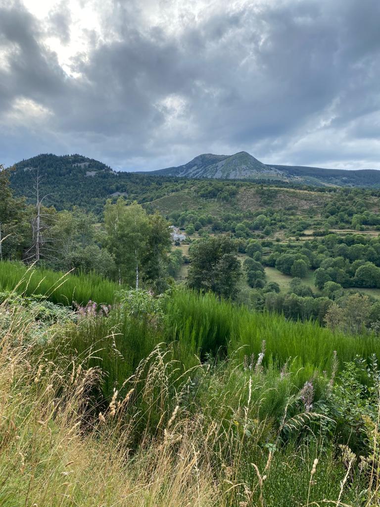 GreenGo location vacances écoresponsables