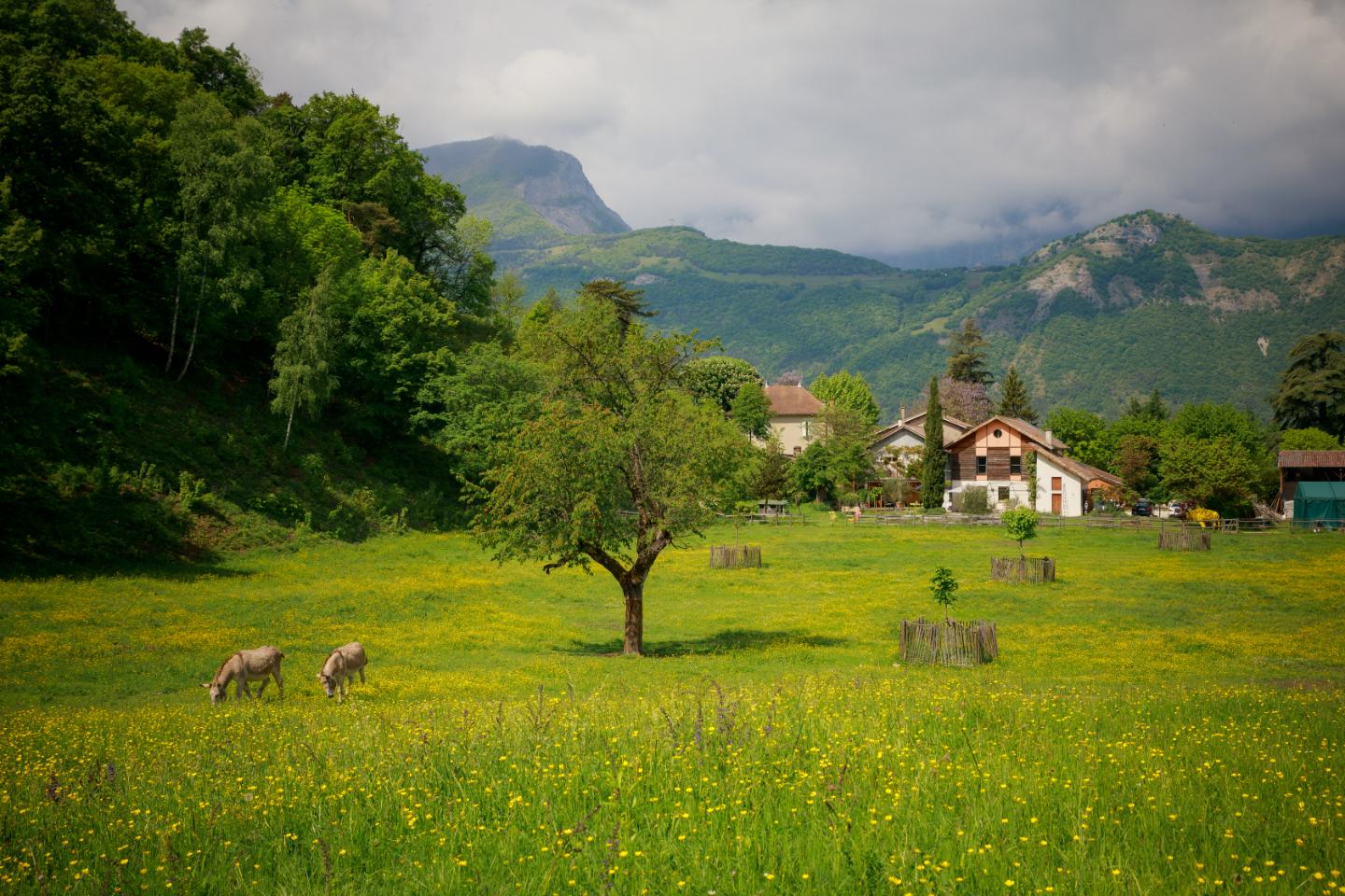 GreenGo Maison d'hôtes de la Santon