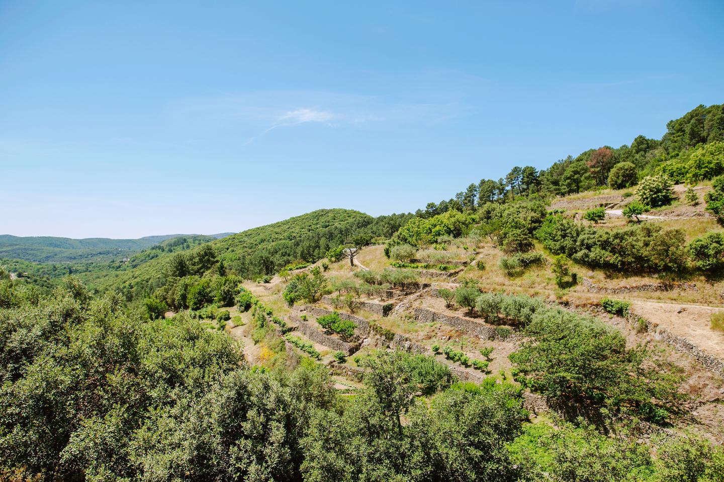 Hôte GreenGo: Maison Authentique au coeur d'un joli hameau en Cévennes - Image 14