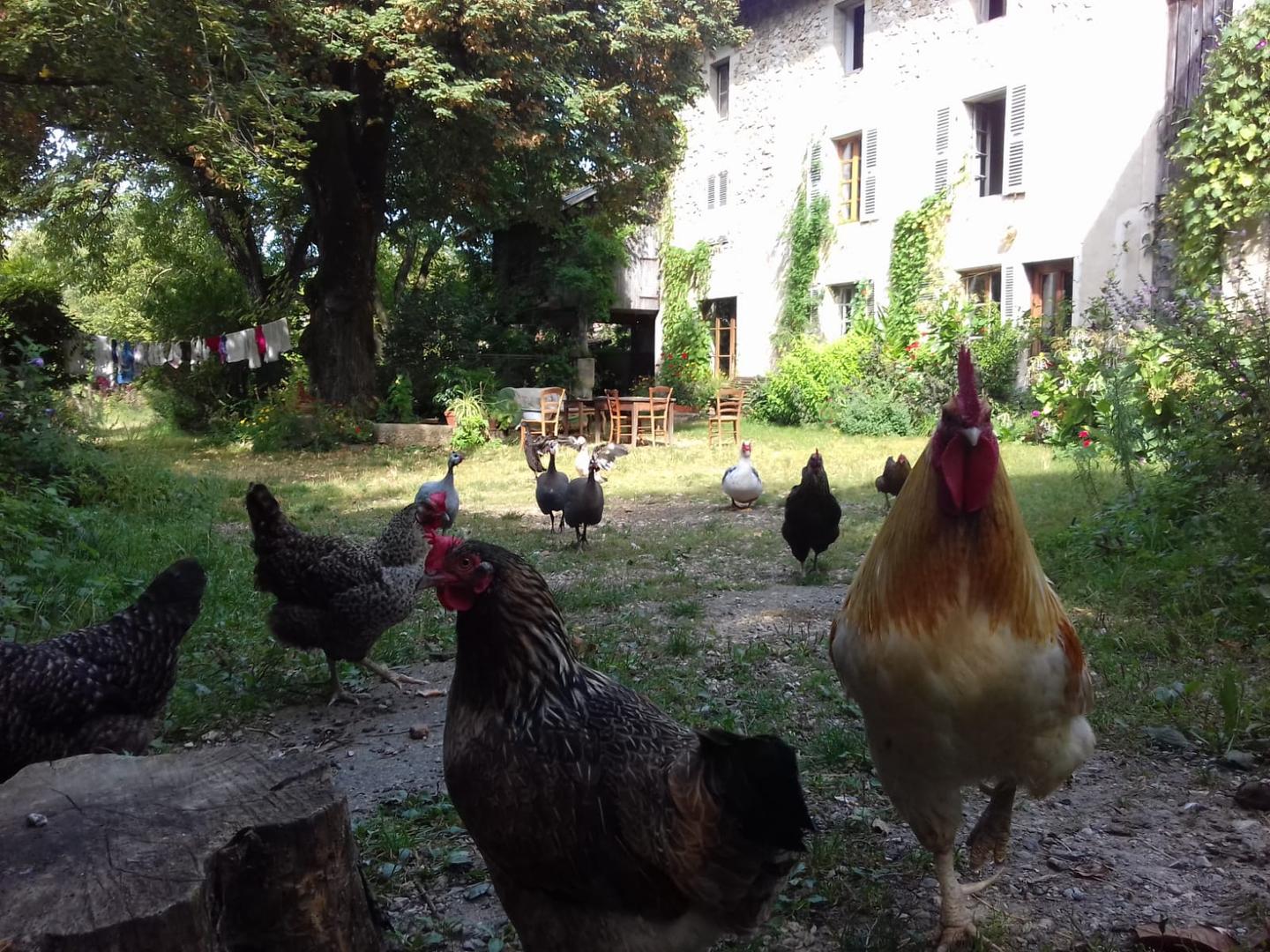 GreenGo La Ferme vivrière du Hameau de San