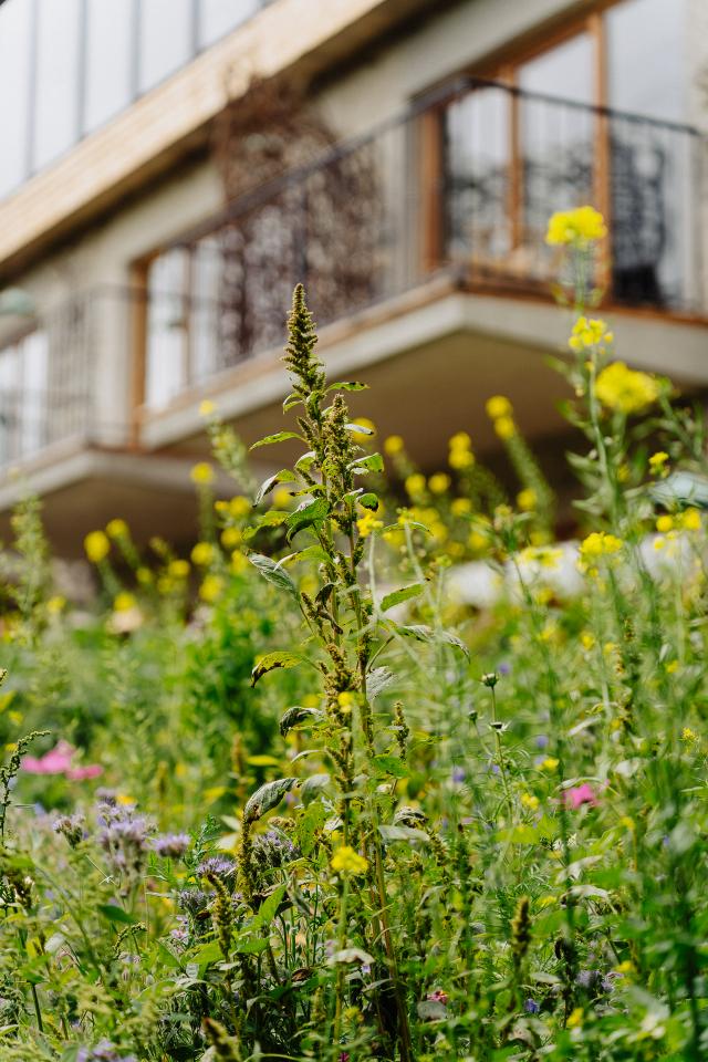 Carte cadeau GreenGo