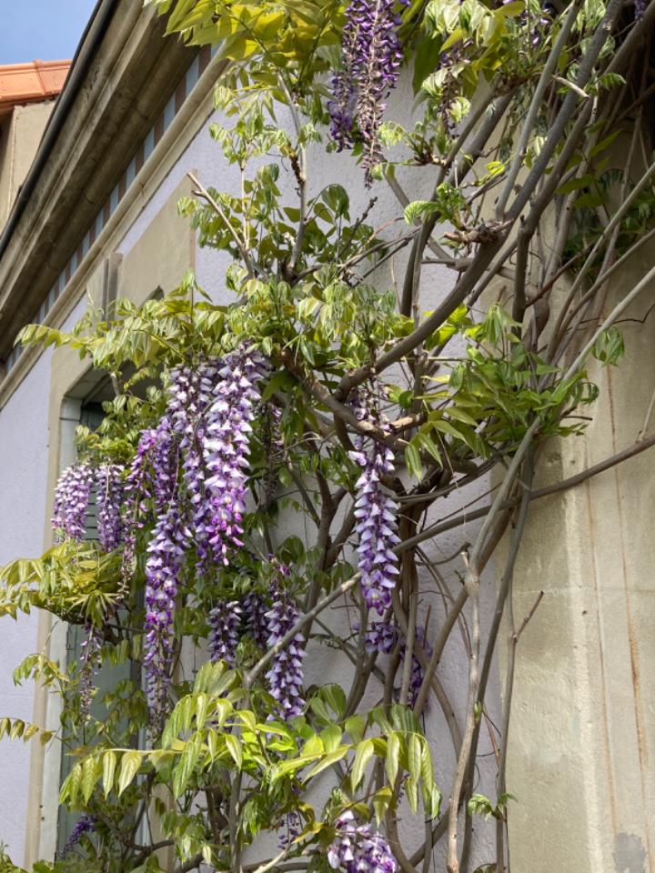 GreenGo Chambre d’hôtes Provence-Alpes-Côte d'Azur En ville