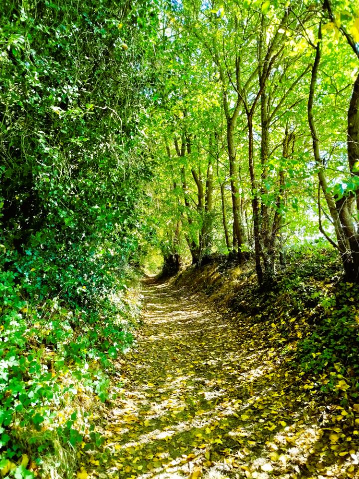 GreenGo Gîte Hauts-de-France Évasion