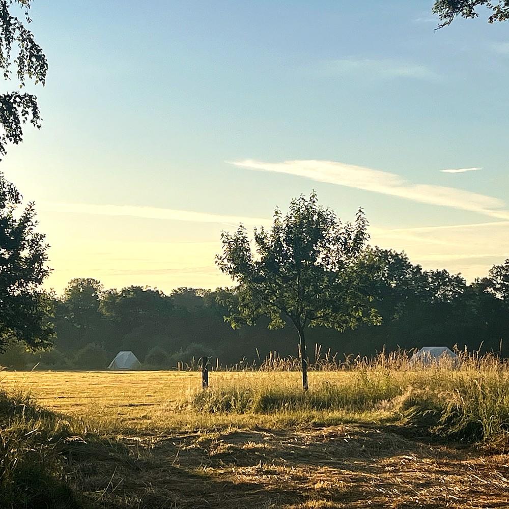 Grand Jardin - 6 tentes premium en coton dans un sanctuaire de 38 hectares