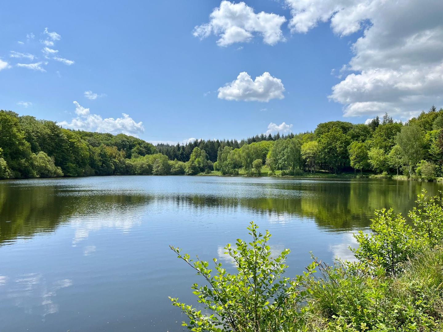 GreenGo Gîte Nouvelle-Aquitaine Gîte de groupe