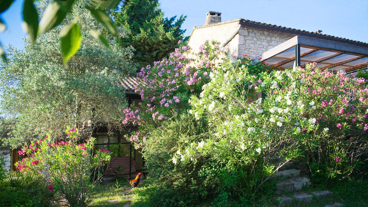 GreenGo Gîte Occitanie Évasion