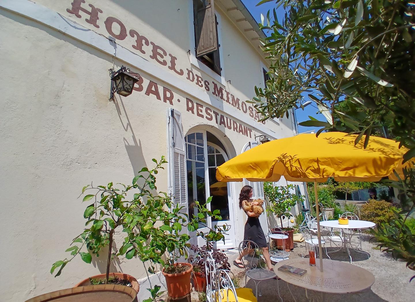 Hôtel des Mimosas