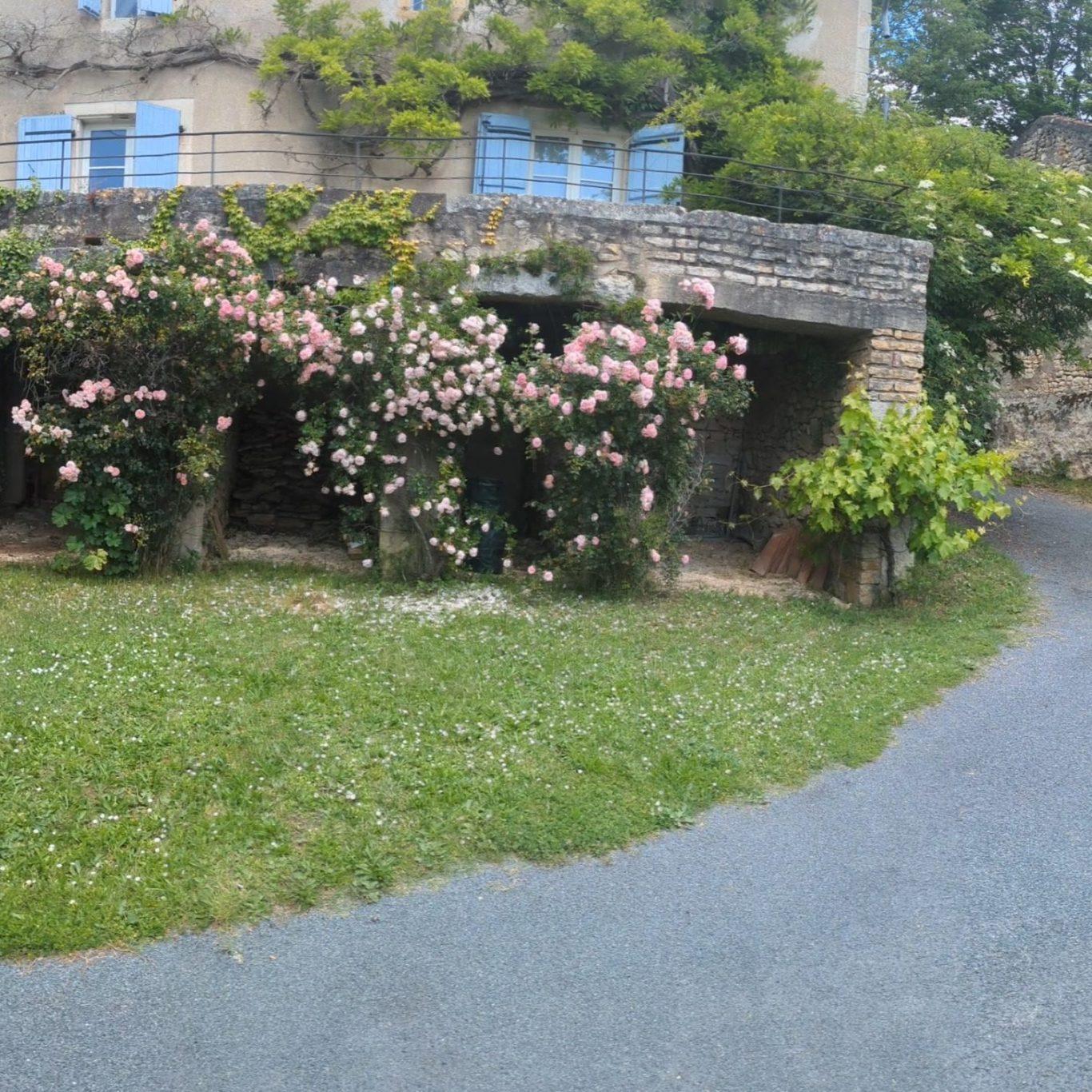 Carte cadeau GreenGo