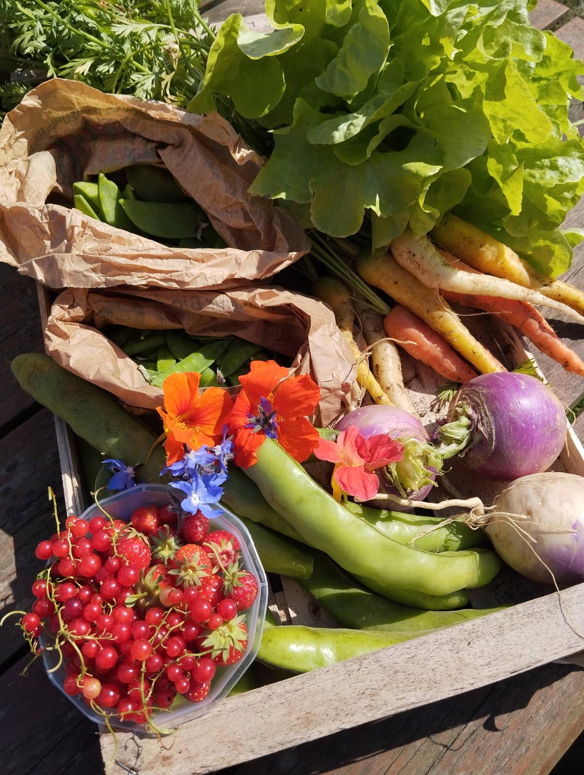 GreenGo Gîte Hauts-de-France À la campagne