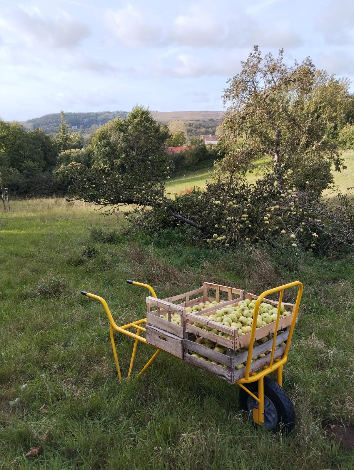 GreenGo location vacances écoresponsables