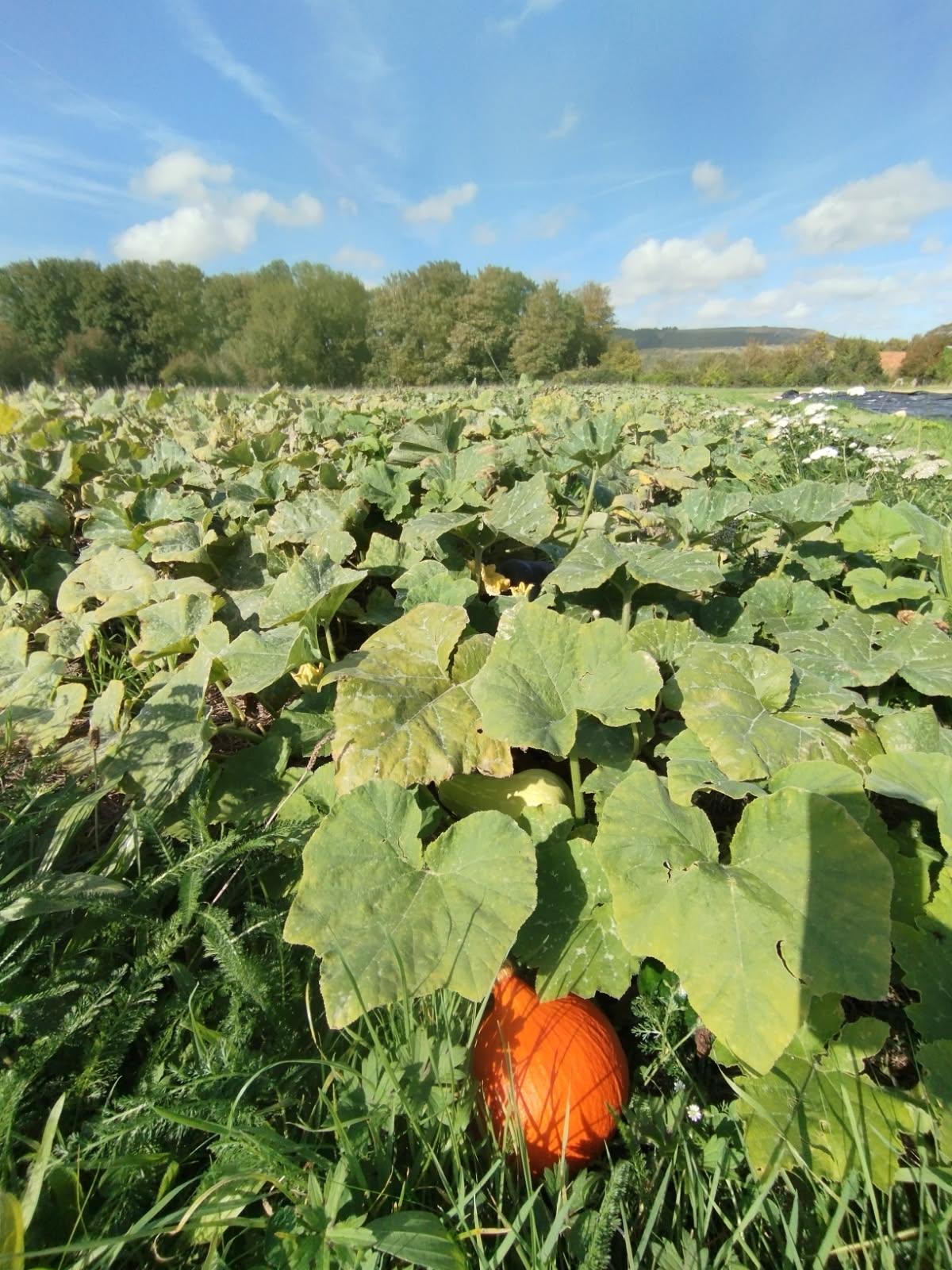 GreenGo Le Clos d'Hydrequent