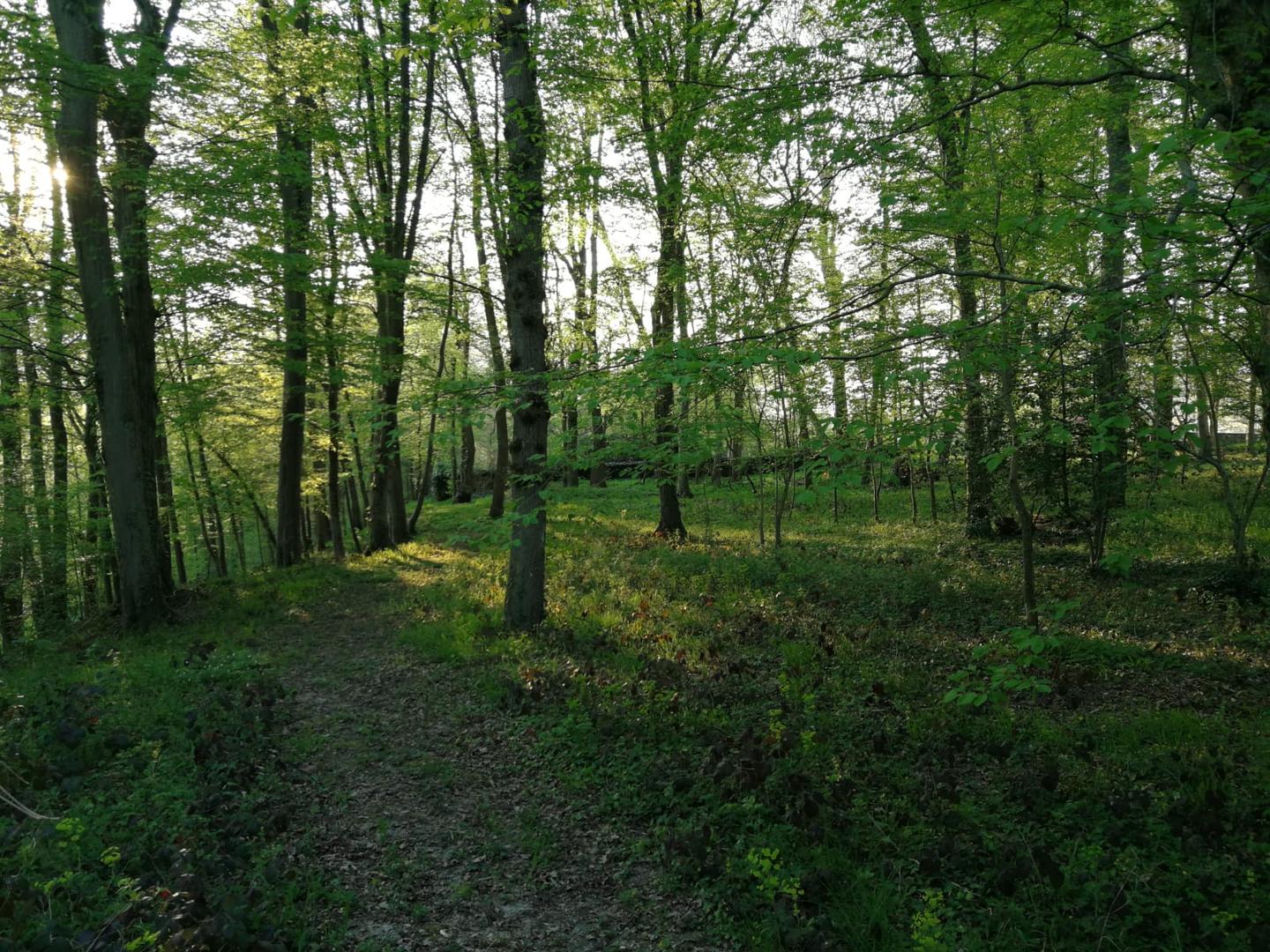  Seine-et-Marne À la campagne