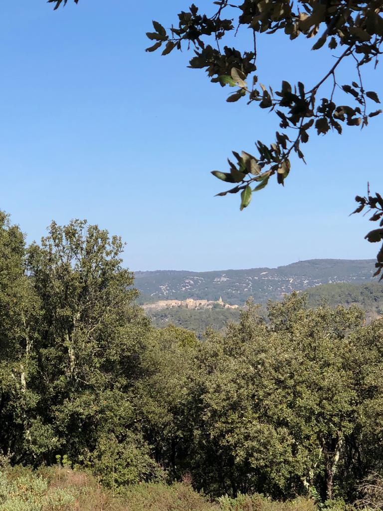 Hôte GreenGo: Agréable gîte en val de Cèze,  Provence occitane - Image 17