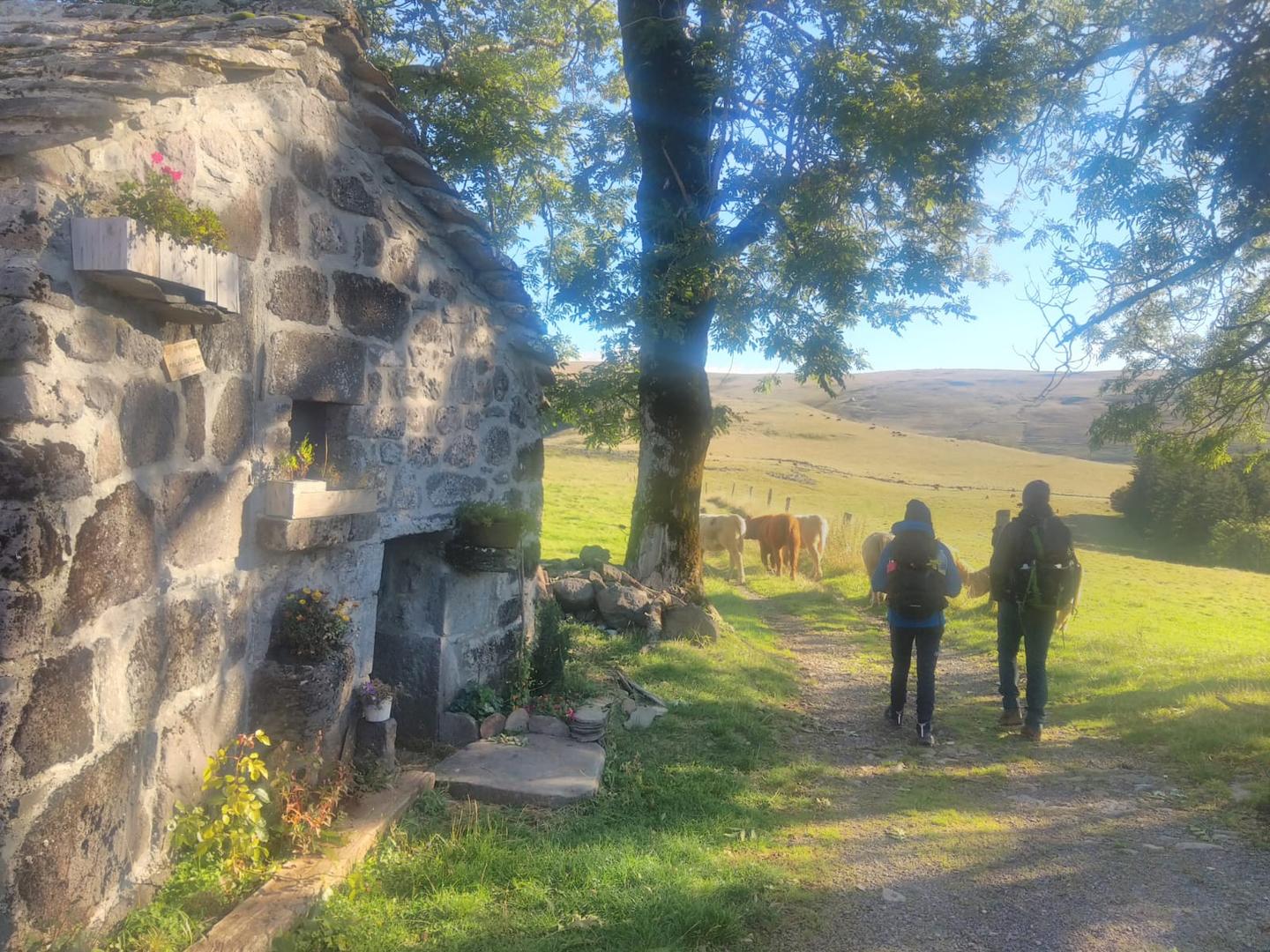 Cantal À la montagne