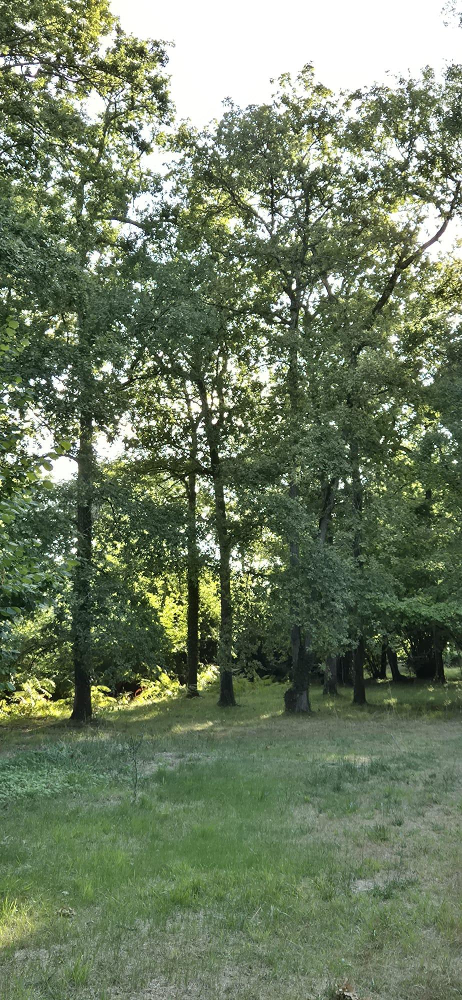 Carte cadeau GreenGo