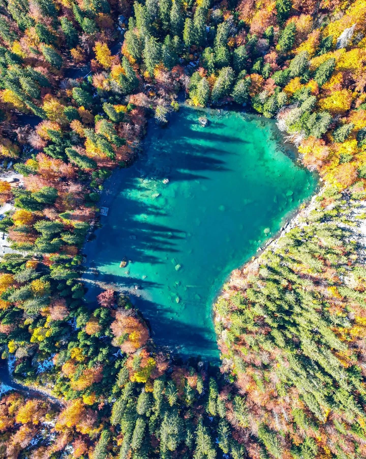 La Tanière des Cimes