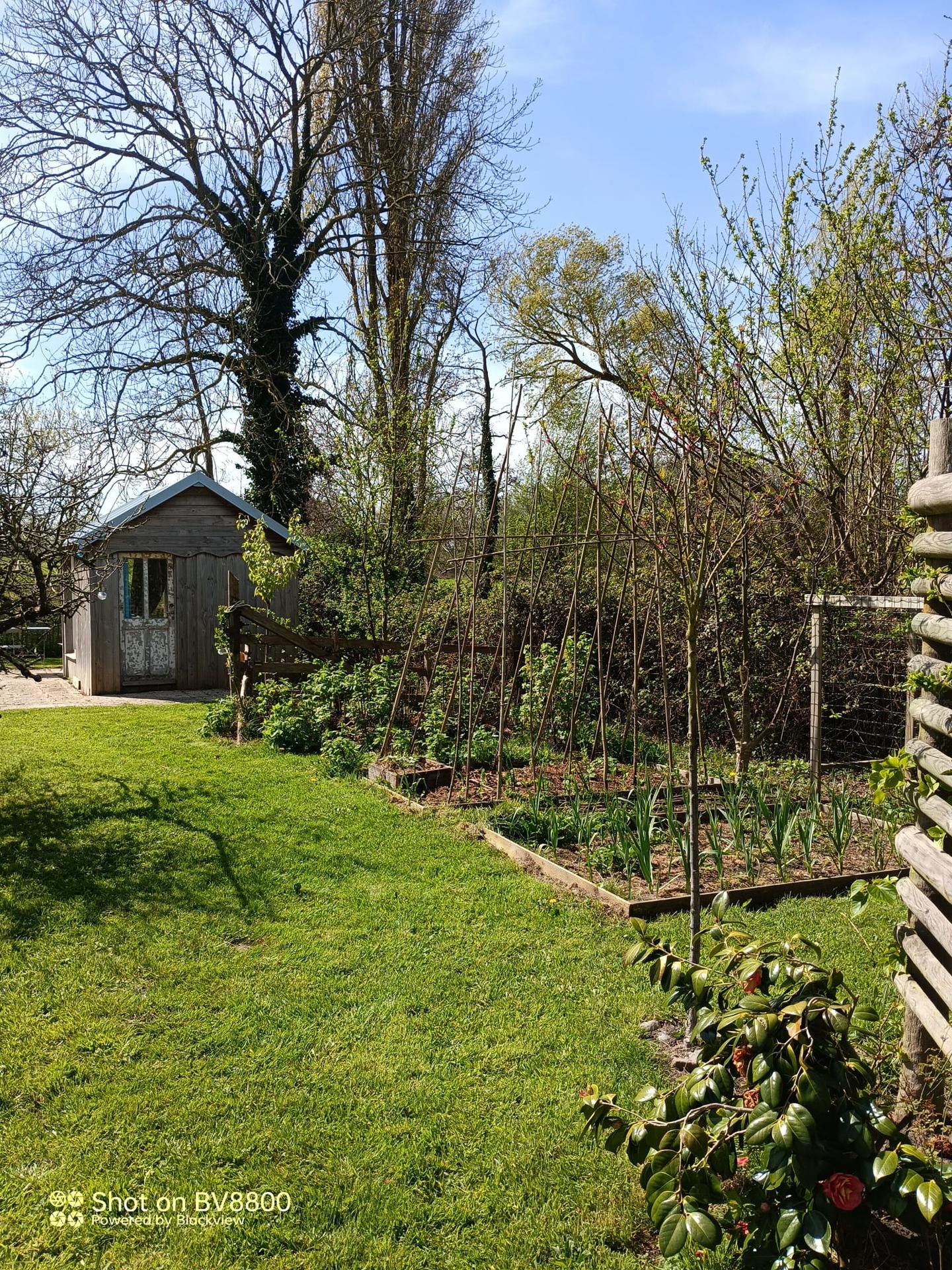  Manche À la campagne
