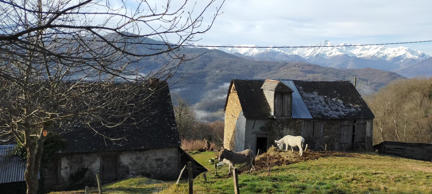 Hôte GreenGo: Hébergements écologiques en Ariège - Image 35