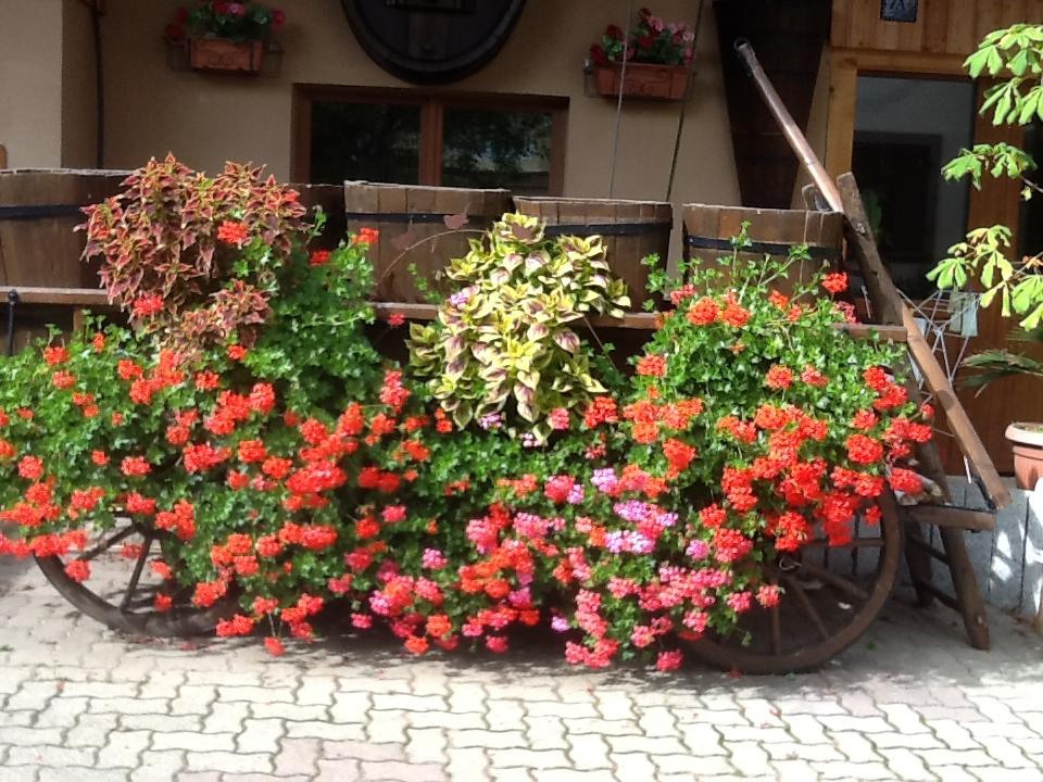 GreenGo location vacances écoresponsables