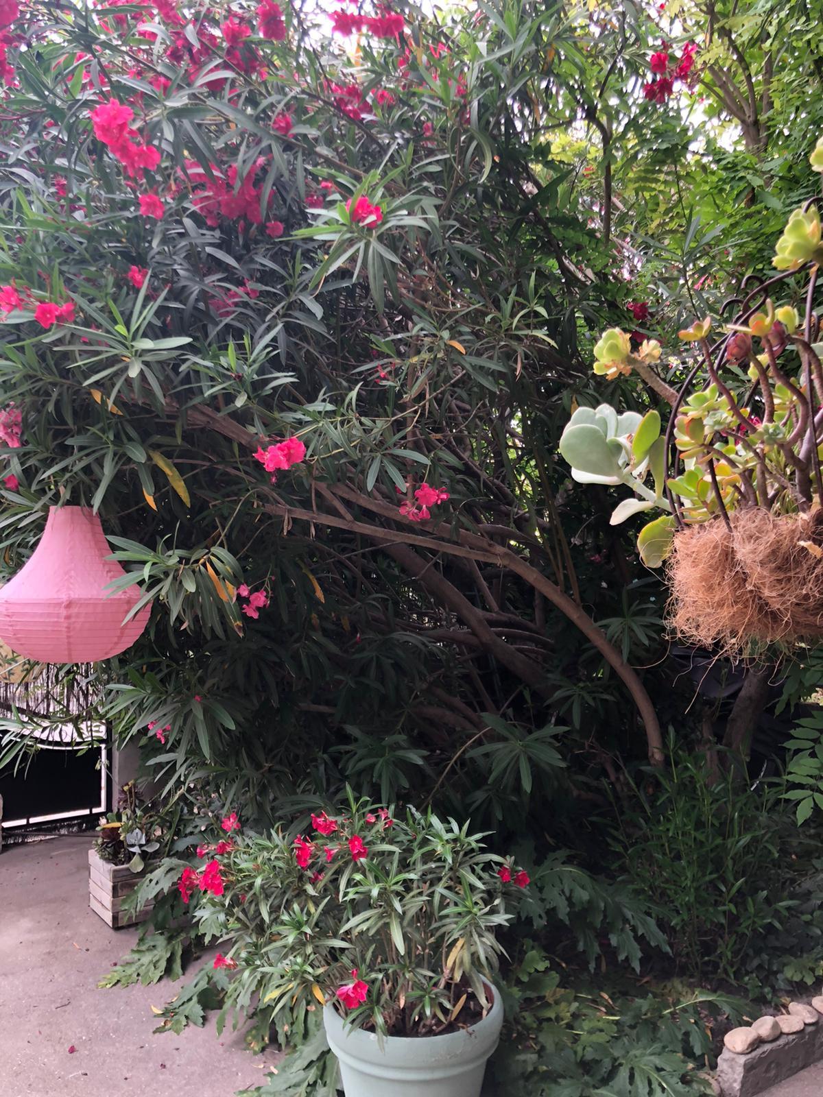  Bouches-du-Rhône Bien-être