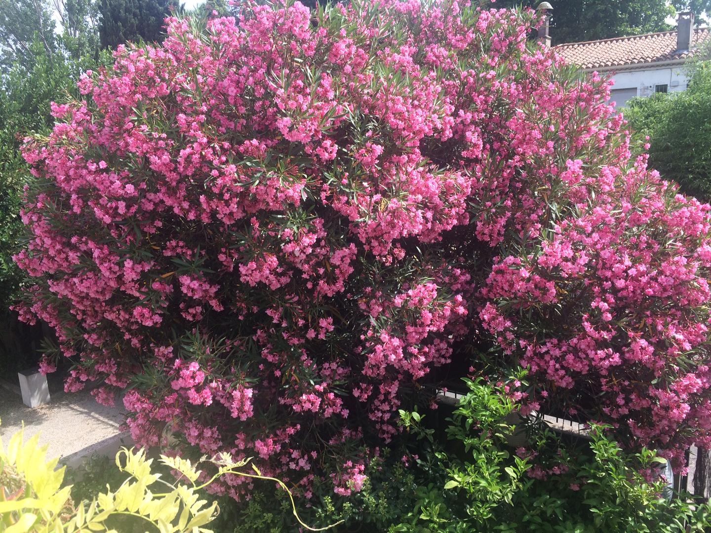 Carte cadeau GreenGo