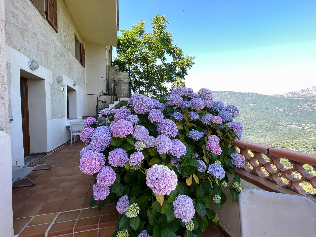 Location Corse-du-Sud Haut-de-gamme