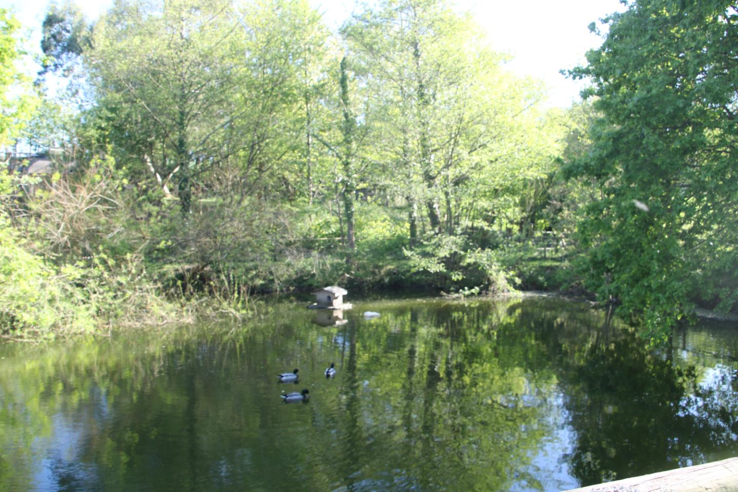 GreenGo location vacances écoresponsables
